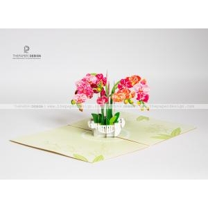Popup Card - Orchids