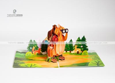 Popup Card - Father's Day Adventure